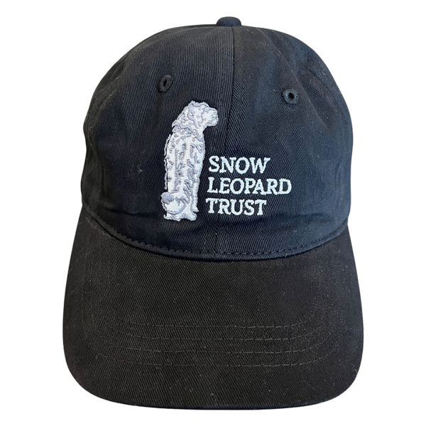 Trust Logo Baseball Cap