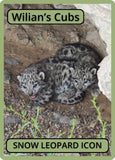 Snow Leopard Cub (Instant)