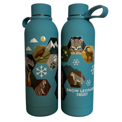 Habitat Honeycomb Water Bottle