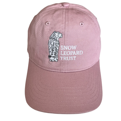 Trust Logo Baseball Cap